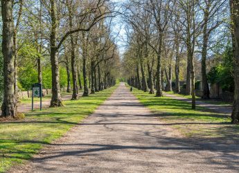 green path